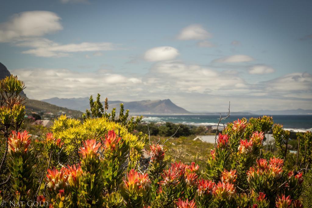 Hotel The Trailhouse Bettyʼs Bay Exterior foto